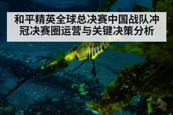 和平精英全球总决赛中国战队冲冠决赛圈运营与关键决策分析